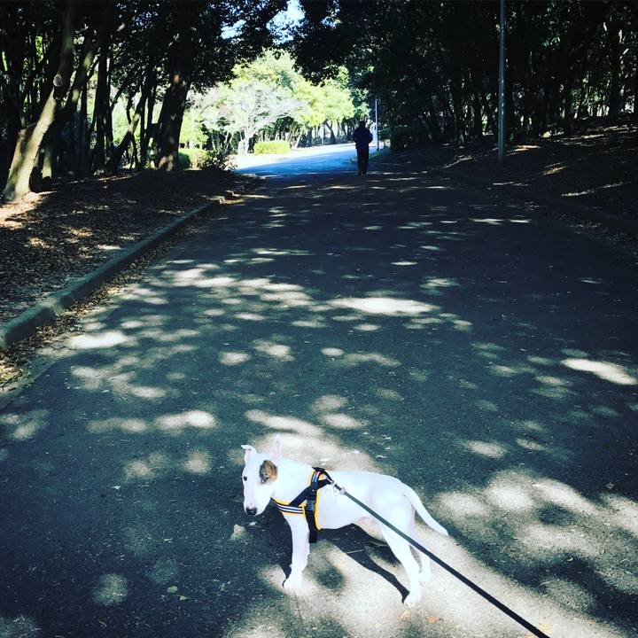 E10117d9 576f 49e8 9e40 ff100195acb7