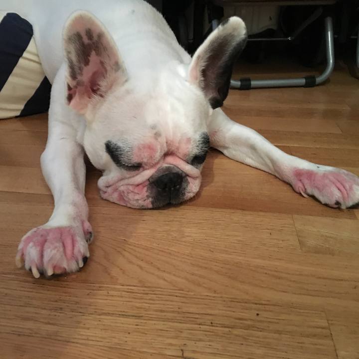 E101bee8 1b05 4656 a1a4 46b454d09bf9