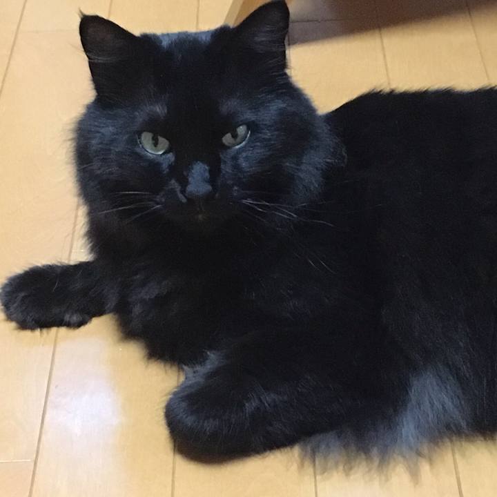 E101f67b 9289 44eb a4b7 7a2d8743a88b