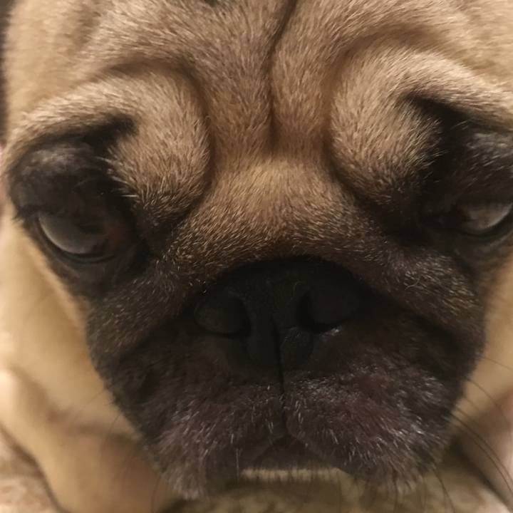 E1032156 65c2 4b07 99fb 33f584ed6492