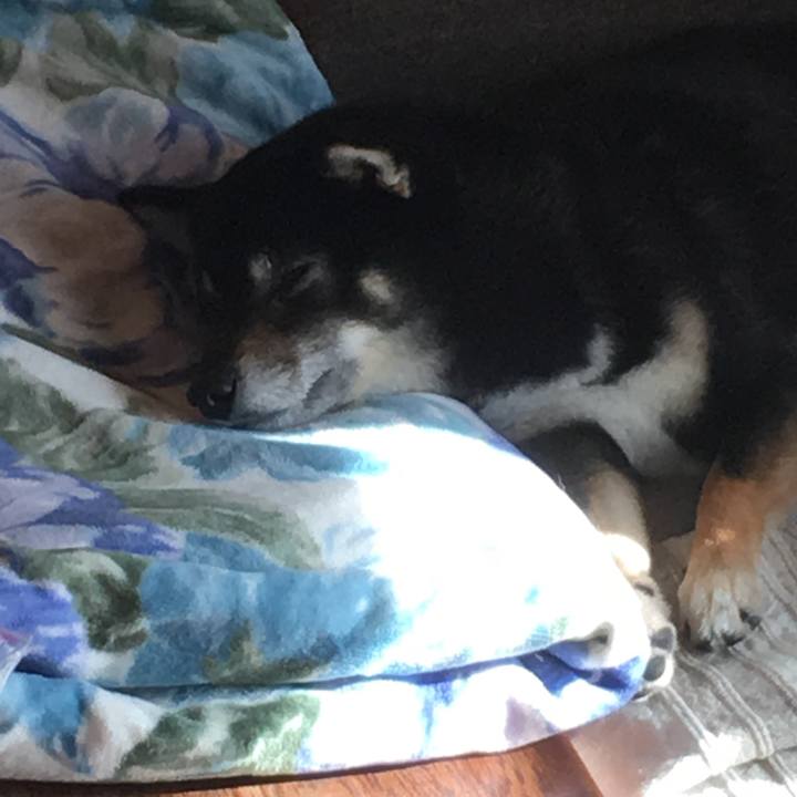 E10327d7 4ec4 42e4 8c3d a5527f723cf0