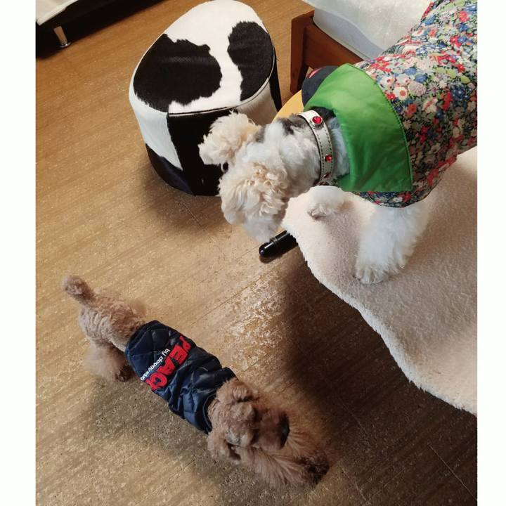 E1037ce5 c98f 4ffd a3a7 a3d13770659f