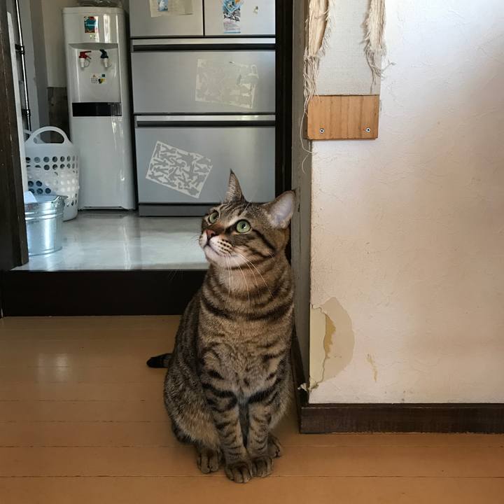 E1038c7a ae0a 46bd 87d0 a00a27322f2e