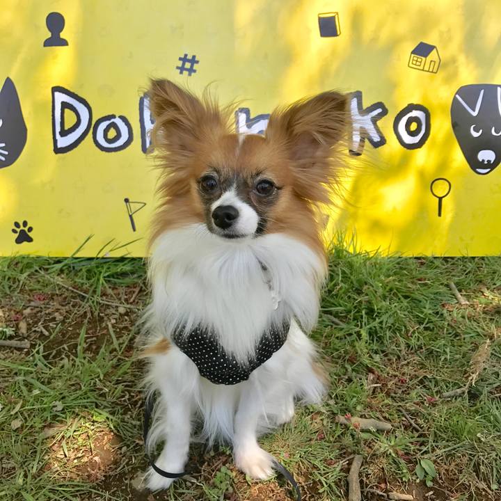 E103da15 eb3b 4622 a5d6 e6b1b61e410a