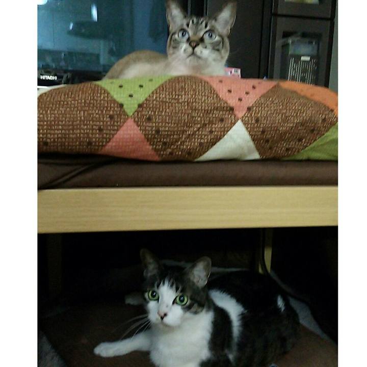 E1044abe 8eb1 477b 9f24 3c06a9315586