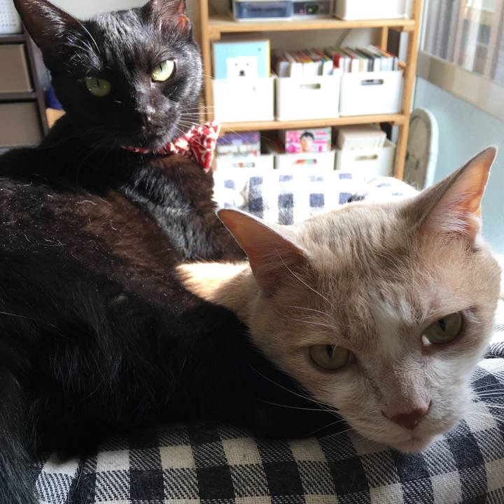 E1045da3 76d4 4545 ad5d a55d7abe4dee