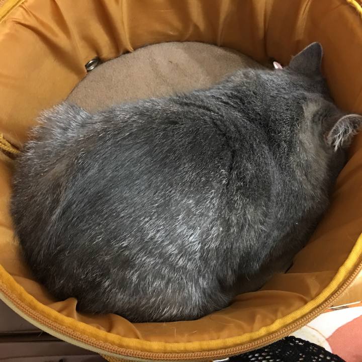 E1051aa3 6fdb 4cb0 a693 374bf9b97bb0