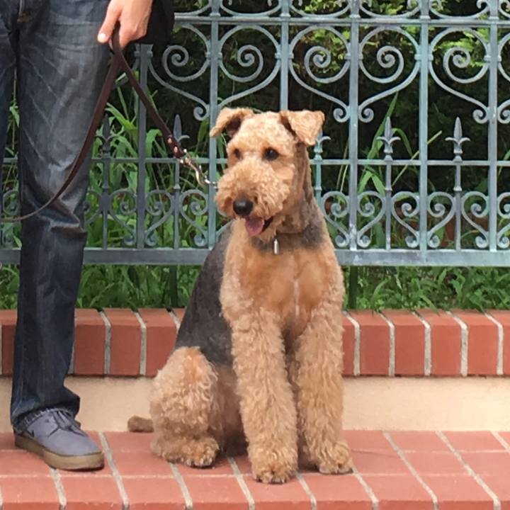 E105a749 c8f5 48c9 aff6 40546725b778