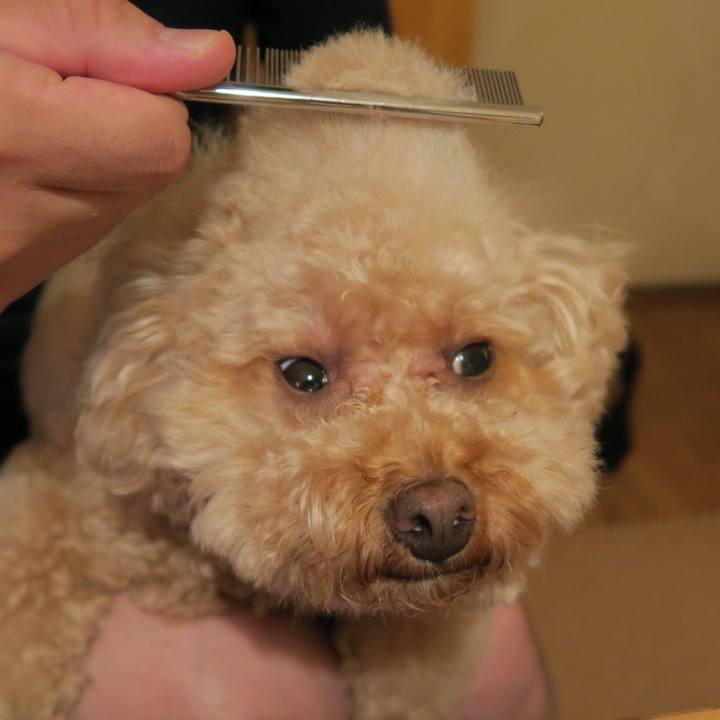 E106e500 b8bb 43ad 8efd 282a8ad10b34