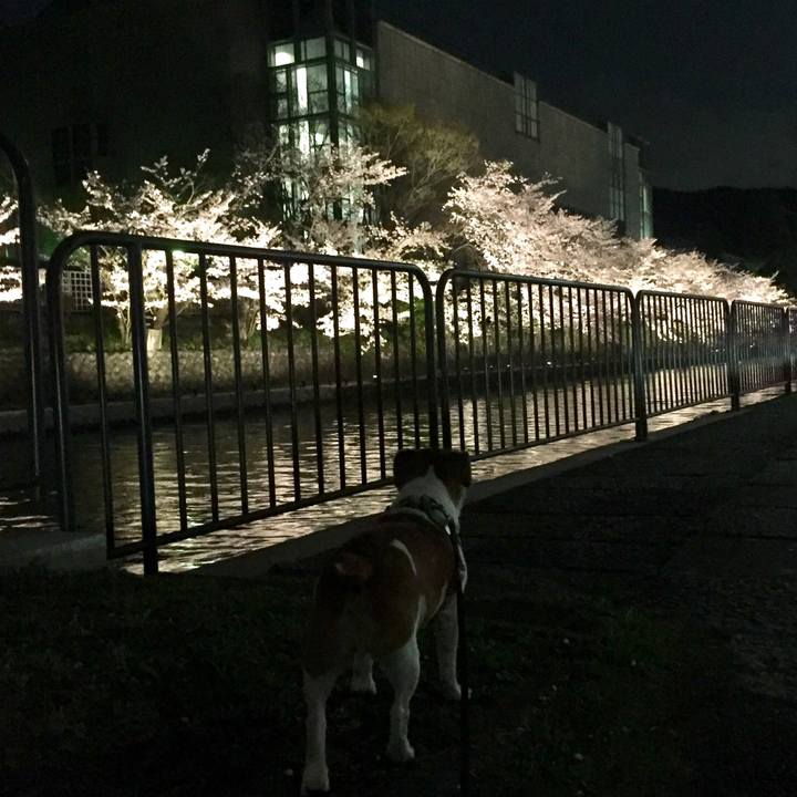 E1078f90 b90b 472d ae70 49d48dda7435