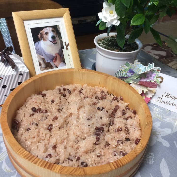 E107f74e 6e70 430c 8608 d46910225a26