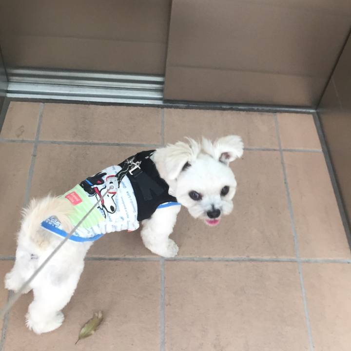 E1084cc4 20d0 460c 9cff 4d779773db0b