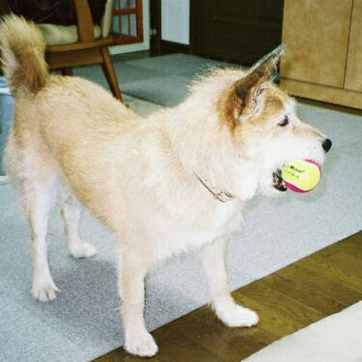 E108ab42 1cac 427e afab 929c4d36bd8f