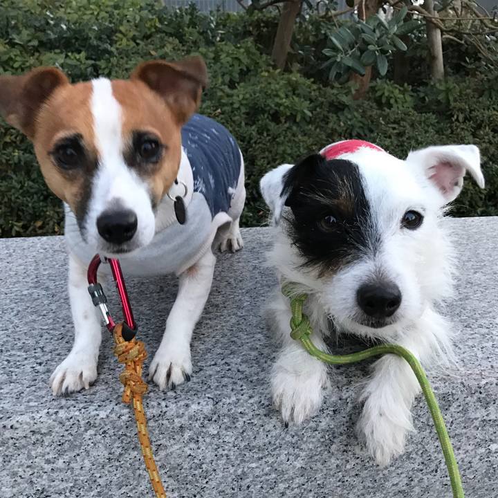 E108f0b5 116a 4eff 9be0 f692a88ab618