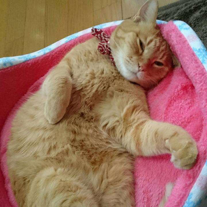 E1097732 ce1b 4451 892e c1525a81e611