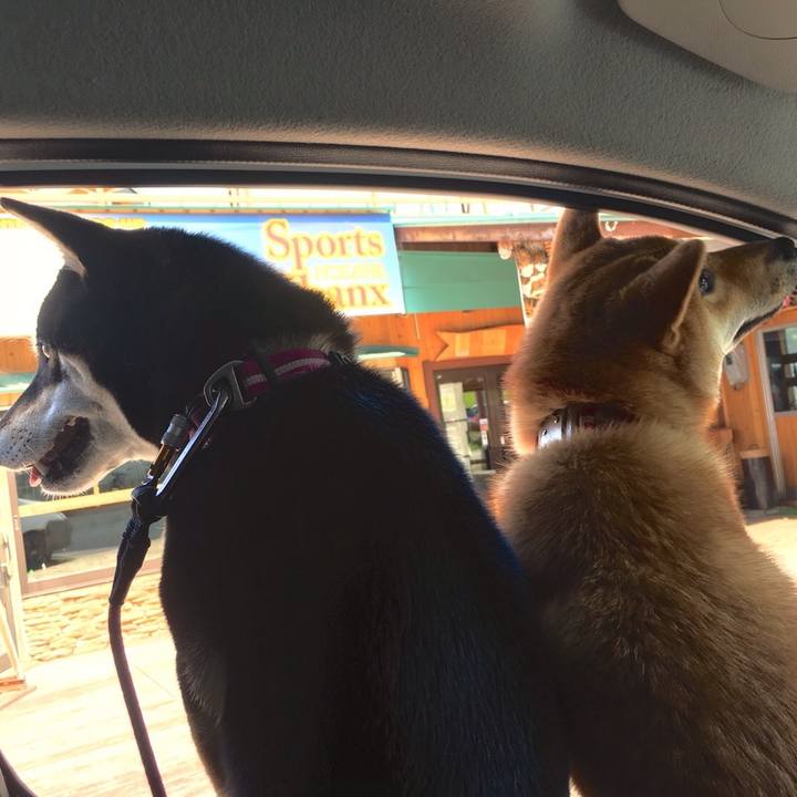 E10a84ef 9483 4337 a719 3e8ea4151044