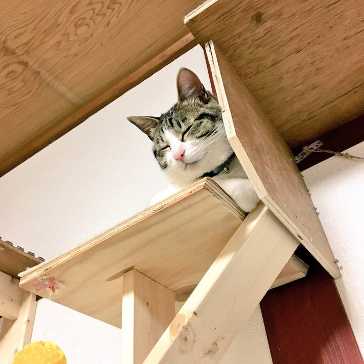 E10b0196 88b1 41aa 8482 42550f15a18d