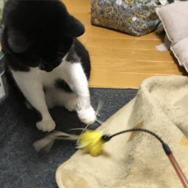 E10b4ae5 8c24 418a a8fa 4345f074d712