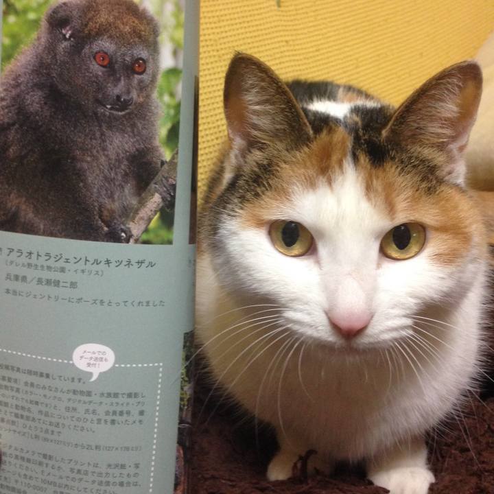 E10b9709 b711 4e08 b0e2 c6fa45ba9201