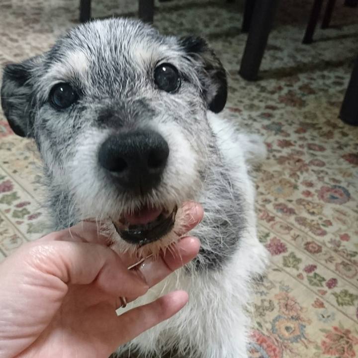 E10bd733 29a2 4b5e 8db6 4951f13e96b3