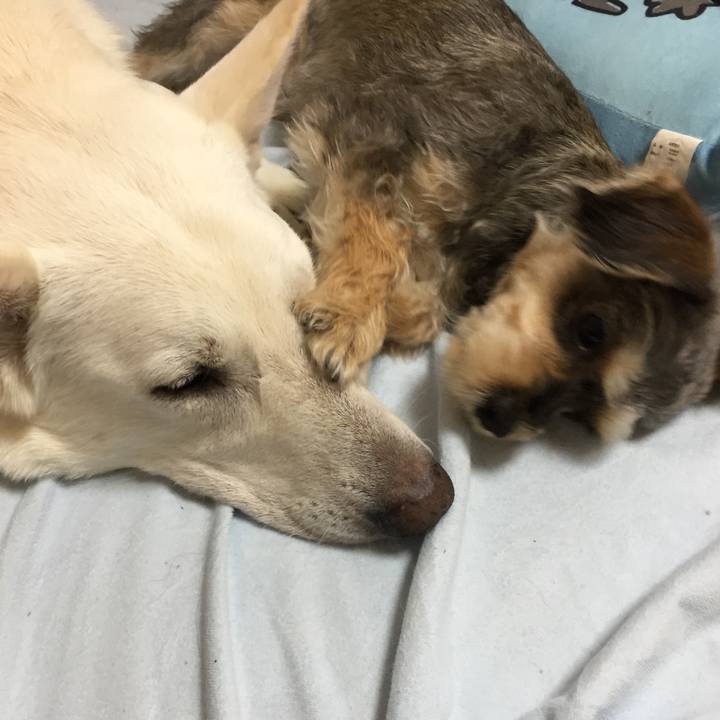 E10c6563 8311 4f82 99a9 7c233f41545c