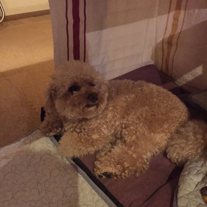 E10c91c0 0367 4dda a7bb 1bfec20af82e