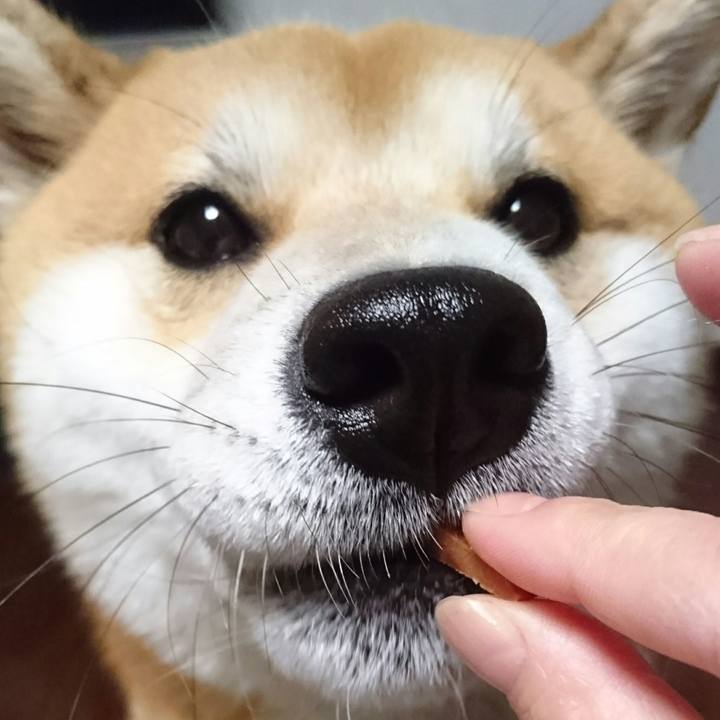 E10cf2f1 b4a8 4916 9bb6 732b74a8ad83