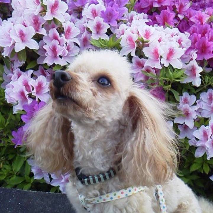 E10d0822 f6b9 484c b2f1 0192e41cf4b8