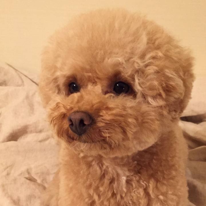 E10d2f39 2ddc 4d8d 98a4 c8698d0c05f0