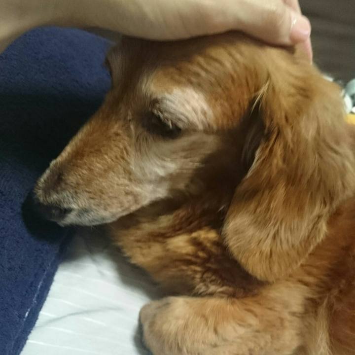 E10d94ab 3974 4284 a64f 498662be833c