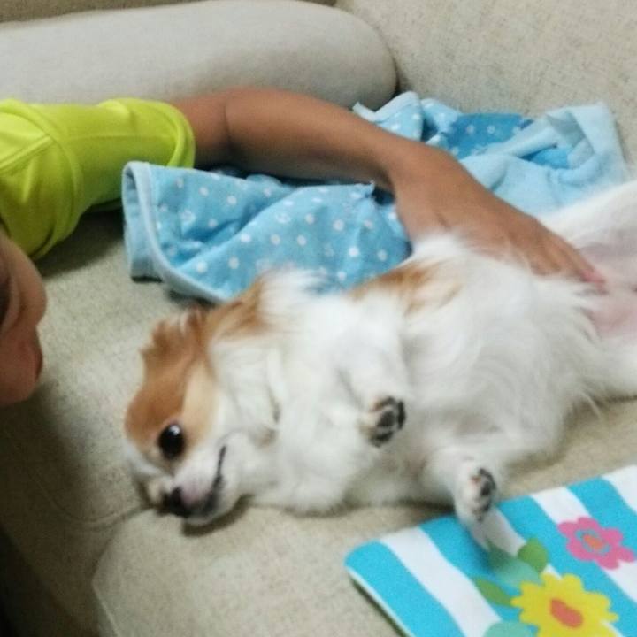 E10db1a7 1441 44f8 9fb8 57cf4ffa2fd0