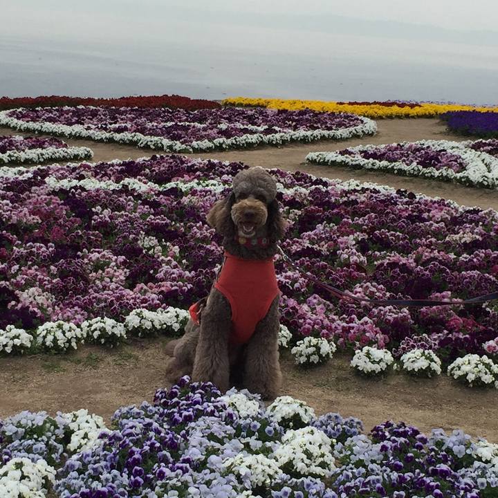 E10e367a 8420 47e4 9143 e4d96e32d5af