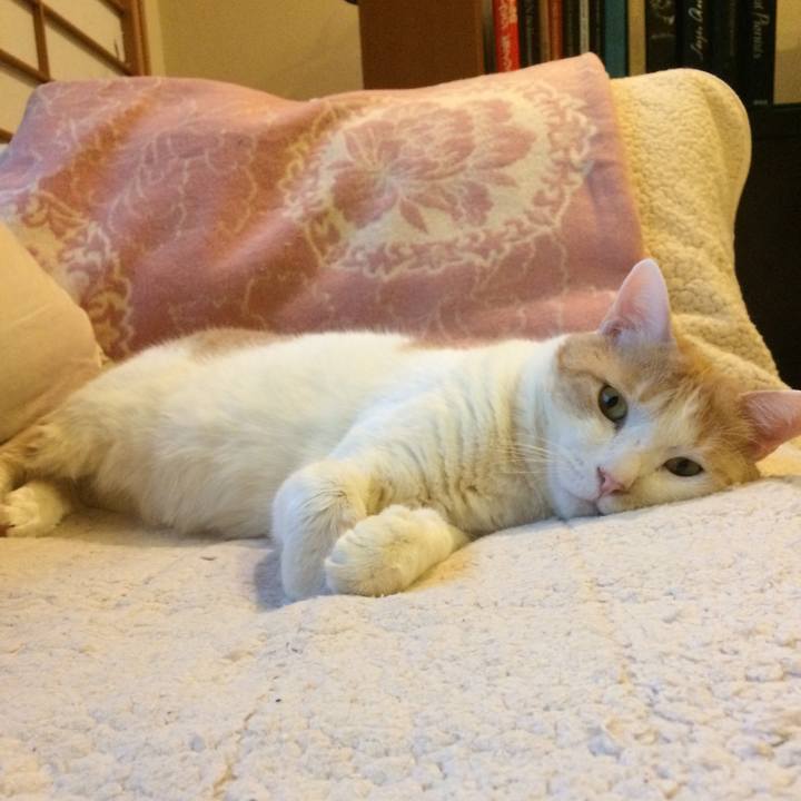 E10e5644 f2c8 4e15 9431 77bc55e66511