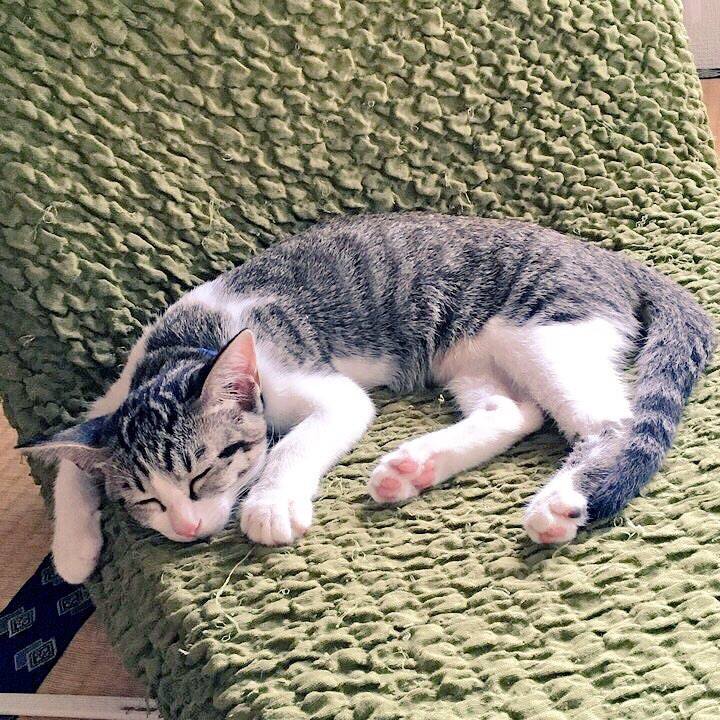 E10e9e35 c36f 4694 860e 3f68a89f0330