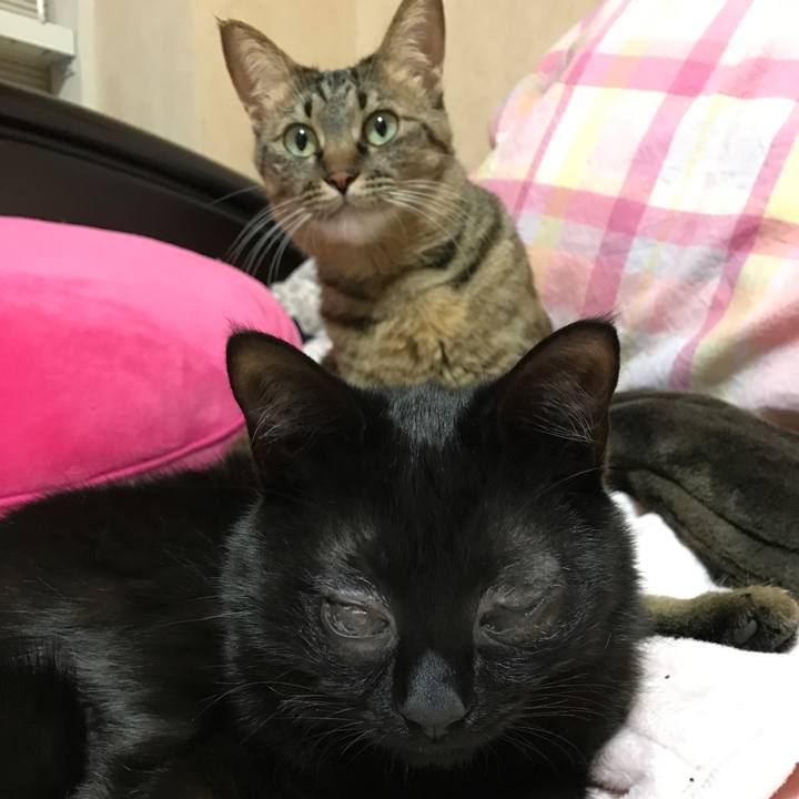 E10ed84f 5996 4aa1 be23 ac54dd8a9f57