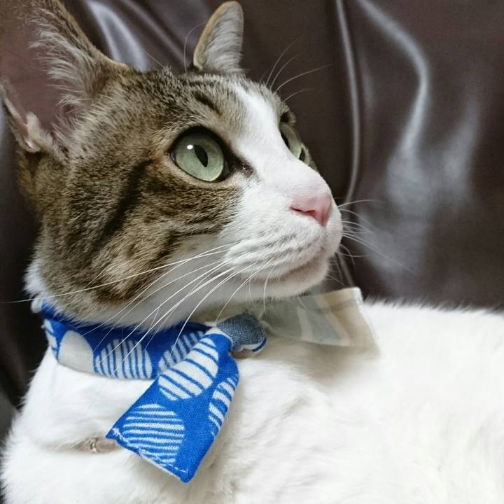 E10f1030 7a87 42bf a535 9bb60f291203