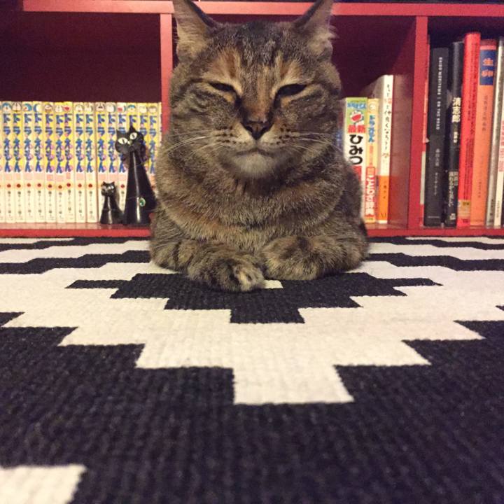 E10f1afe 6a22 4fb9 a6be 4a633d876321