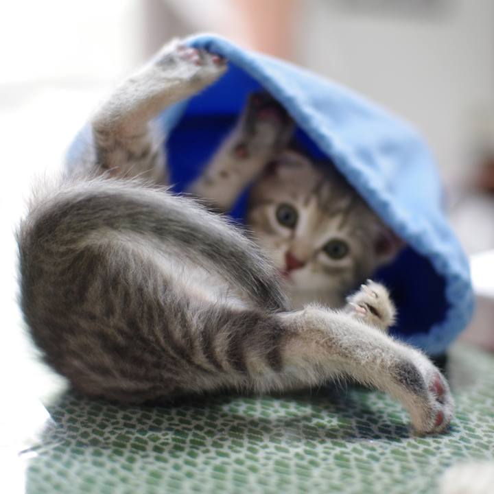 E10fd821 0381 489d b47b 92272054ead3