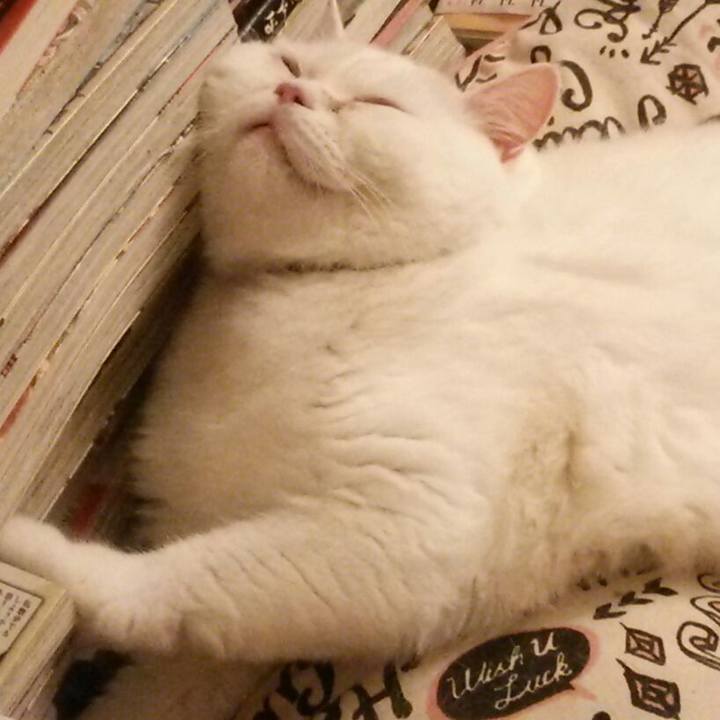 E1108d72 8b69 45f5 b7ec d96c550bb4cc