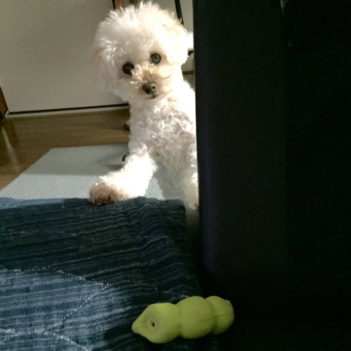 E110c62f 104d 41f7 8d16 baada808567e