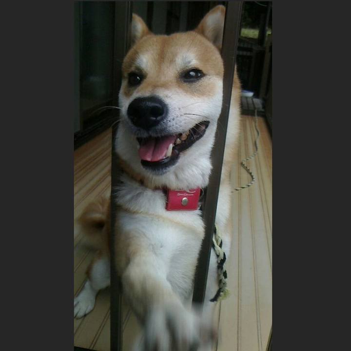 E110efc5 bb19 44e6 a6fb 05a2267dfcb6