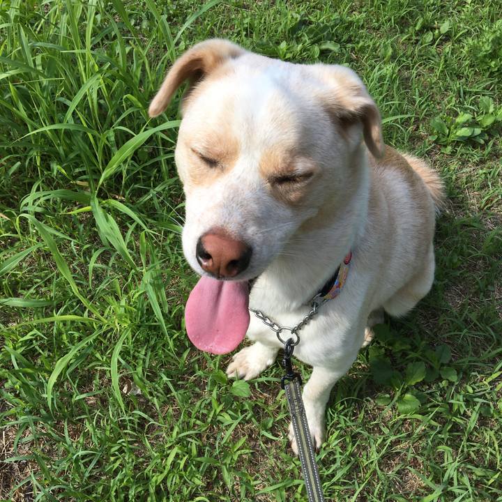 E1113103 1620 4f87 81aa c566b4323625