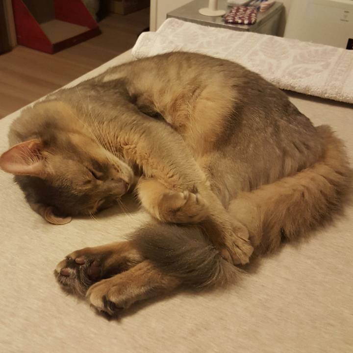 E1113475 b586 4657 b268 66e9d4f19b07