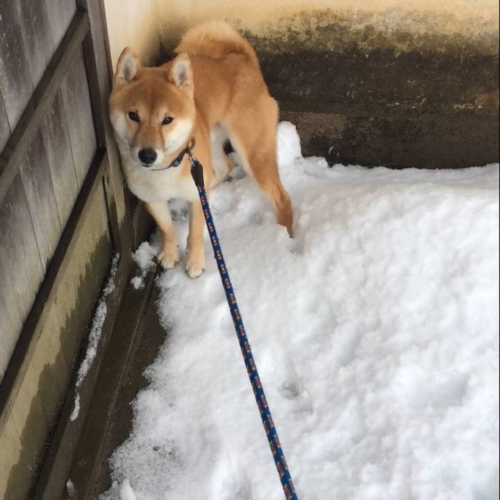 E1114571 1a68 49b0 b8c9 f25f597a9104