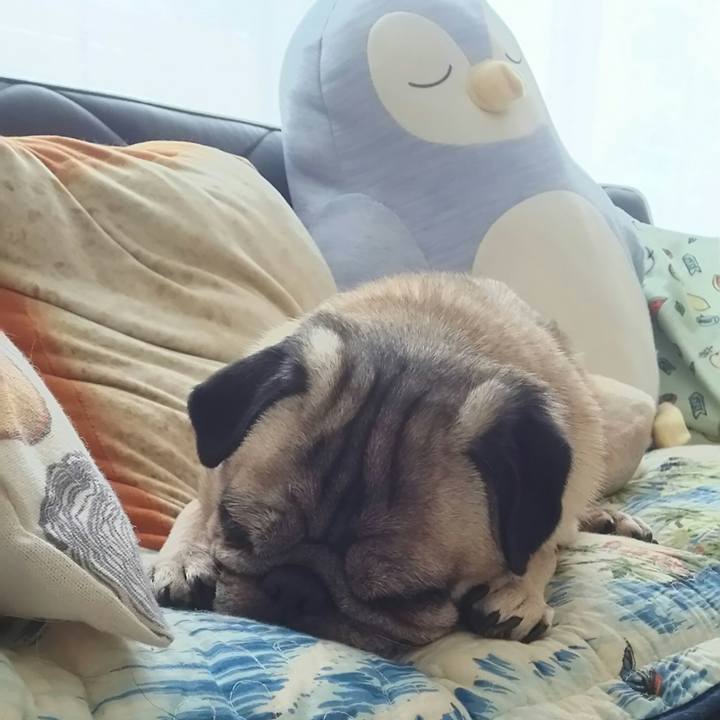 E1117f12 2c2b 447e 9b09 aa865a3c5c7c