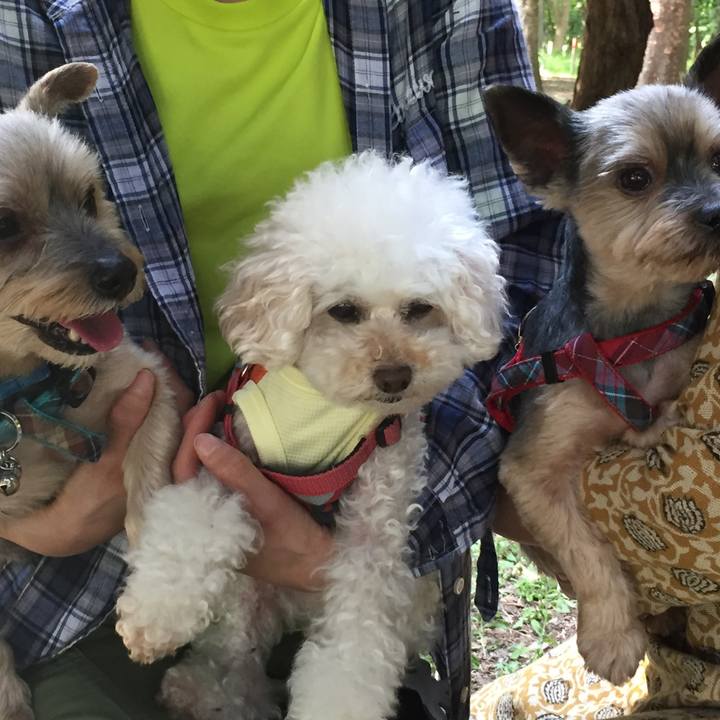 E111f4a4 f958 46bb 9849 35dfcc832275