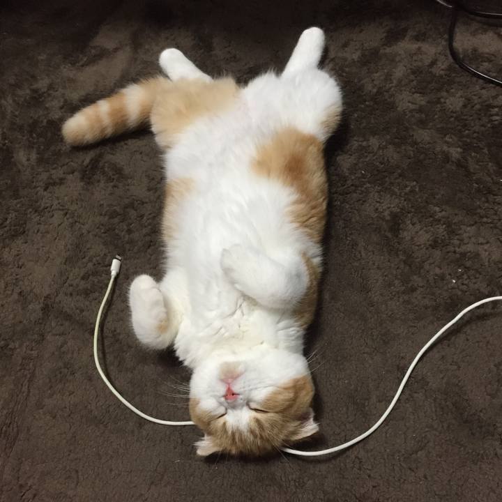 E11267c4 84f9 402e a20e 3c714dcf6971