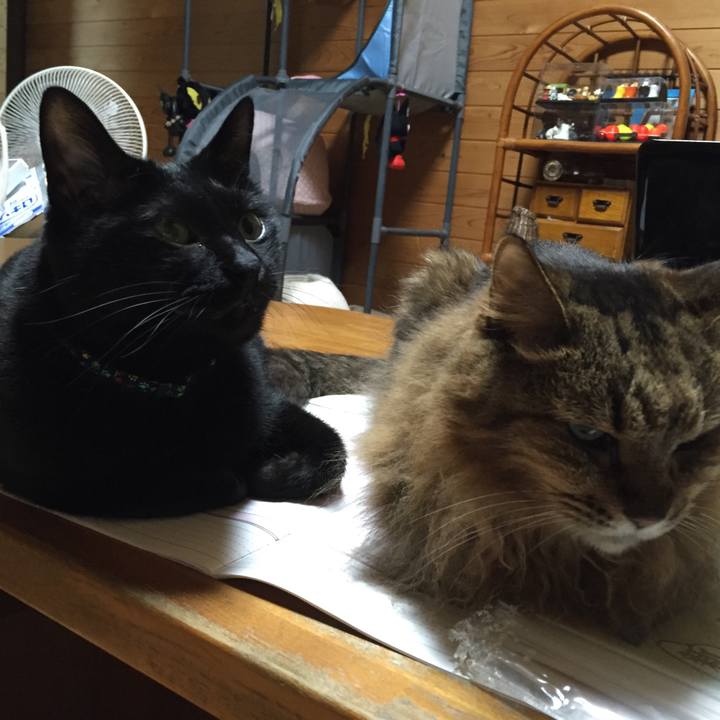 E112c6b2 0cbf 45b1 96e6 bfd41778970b