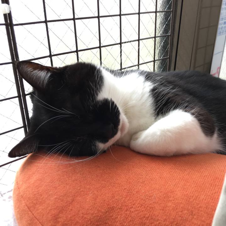 E112d480 d567 4f10 b1f5 89c9a900ce24