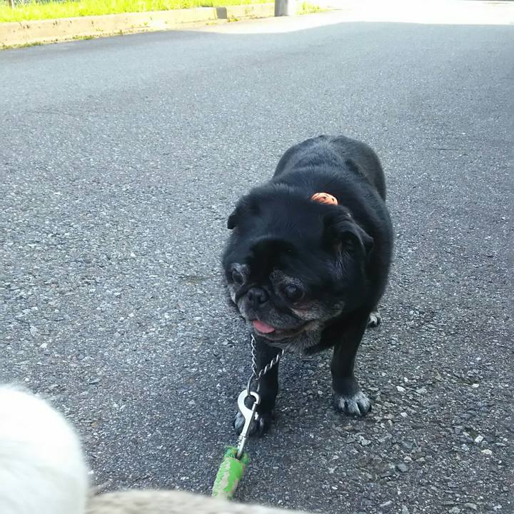 E112f645 cc74 454b 9a55 f8f7d73d8b61